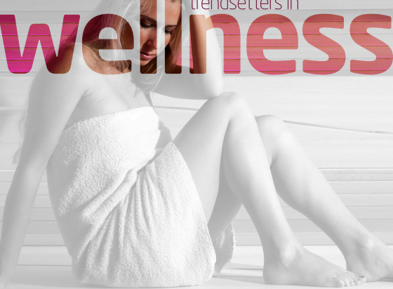 Moderna Pool&SPA sauny luksusowe katalog