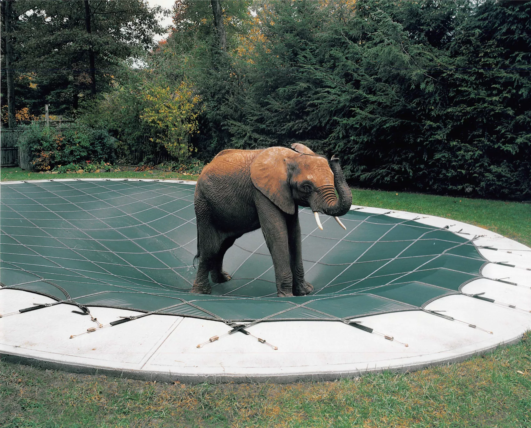 przykrycia basenowe Loop-loc